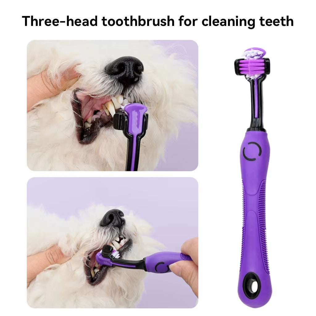 Ultimate 9-In-1 Pet Grooming Kit for Dogs and Cats – Comb, Scissors, Nail Clipper, Gloves & More!