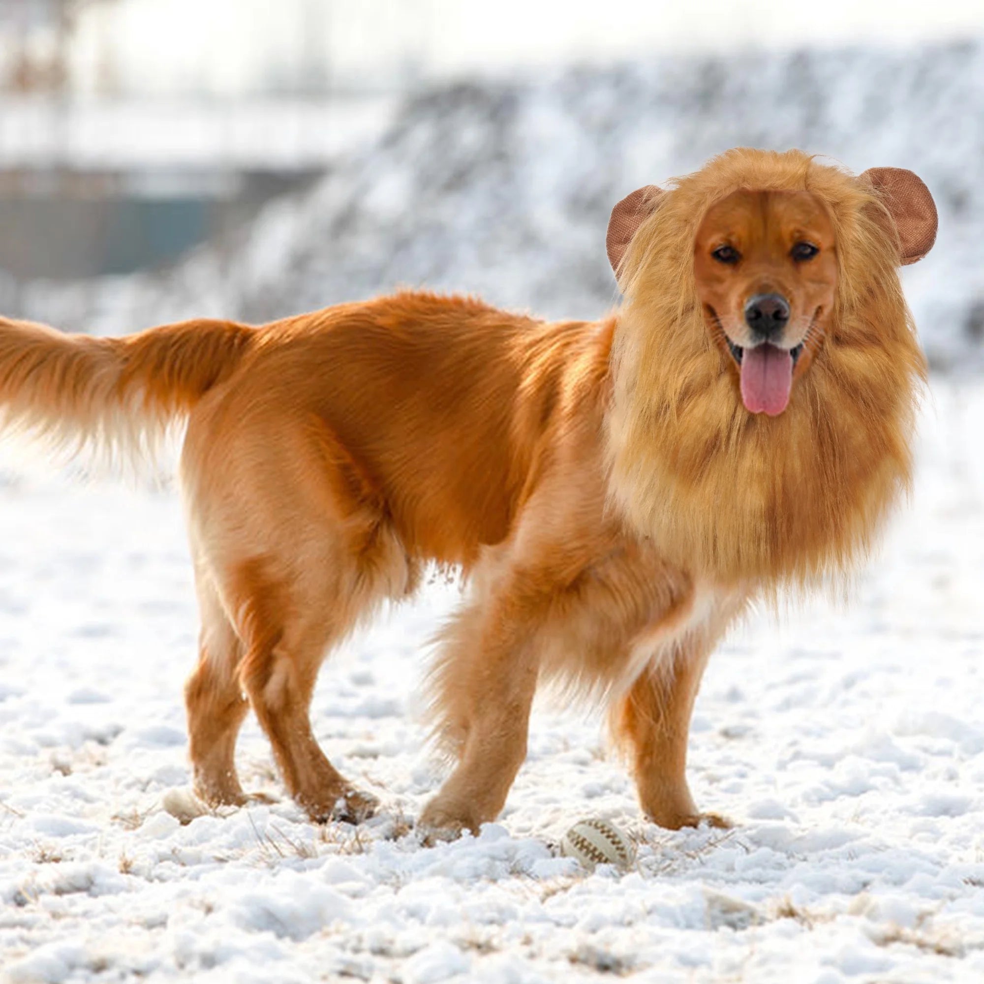 Large Dog Lion Mane with Tail Halloween Dog Costumes Fits Neck Size 13- 29.13 Inch Funny Accessories for Holidays