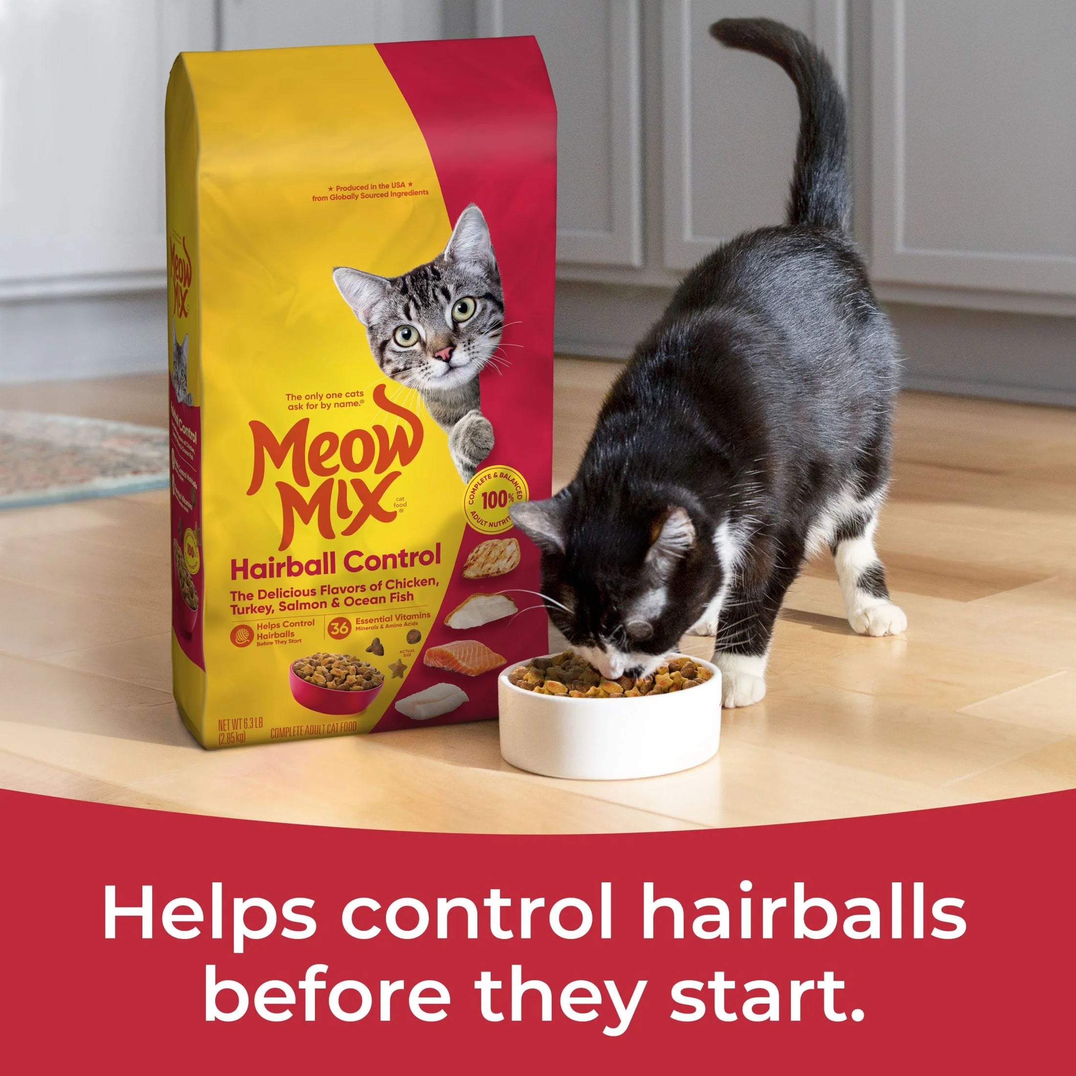 Hairball Control Dry Cat Food for Adult Cats, Crunchy Cat Kibble, 6.3 Lb Bag