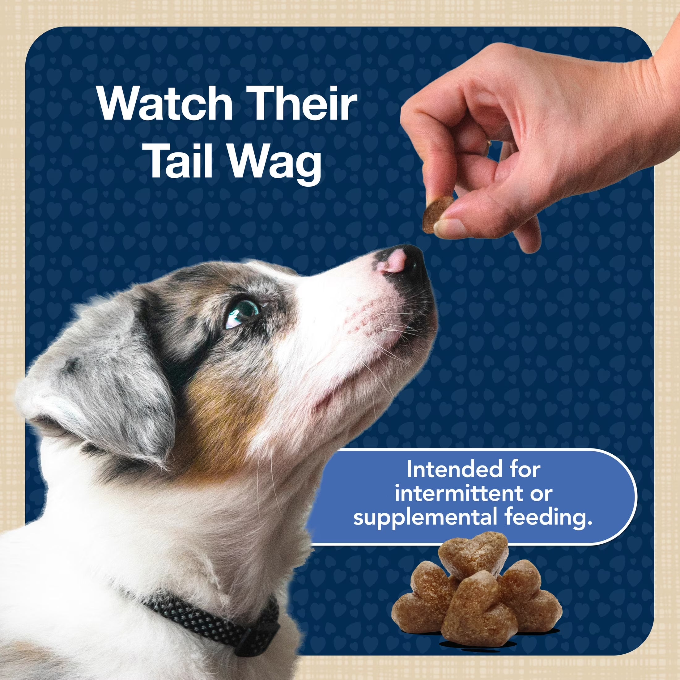 Bits Soft Dog Treats for Training, Enhanced with DHA, 11-Oz. Bag