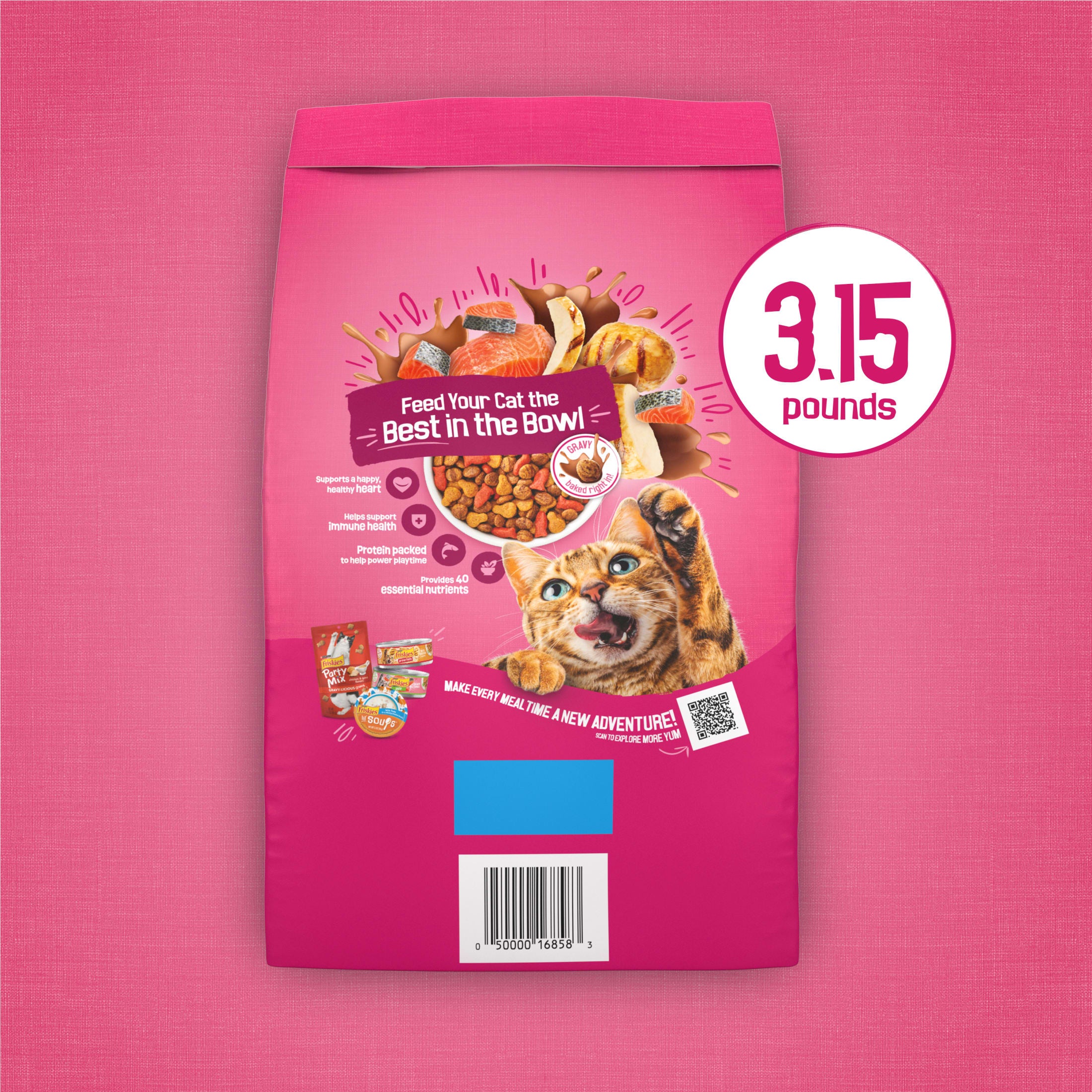Purina  Gravy Swirlers Dry Cat Food Flavors of Chicken, Salmon and Gravy, 3.15 Lb Bag