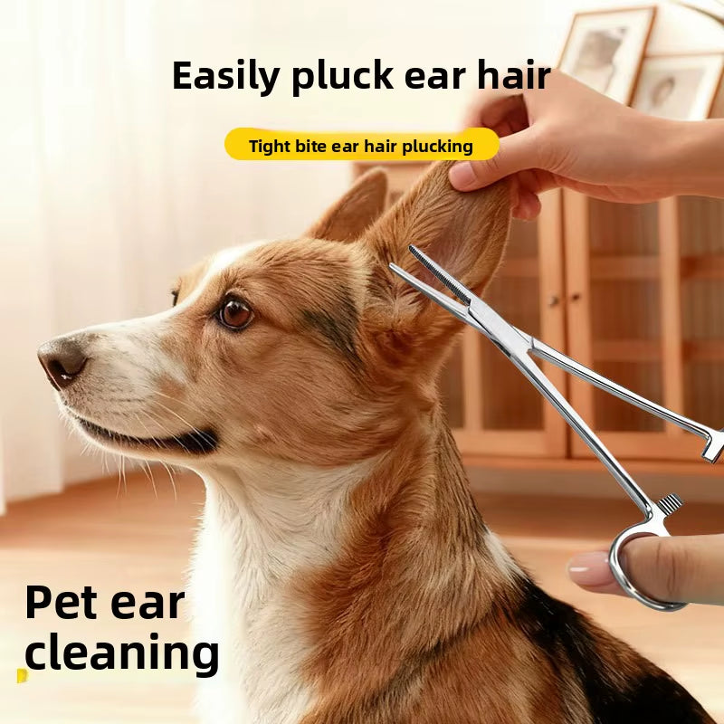 Premium Stainless Steel Ear Plucking Forceps for Dogs & Cats - Straight & Bent Nozzles for Easy Ear Cleaning - Essential Hemostatic Grooming Tool