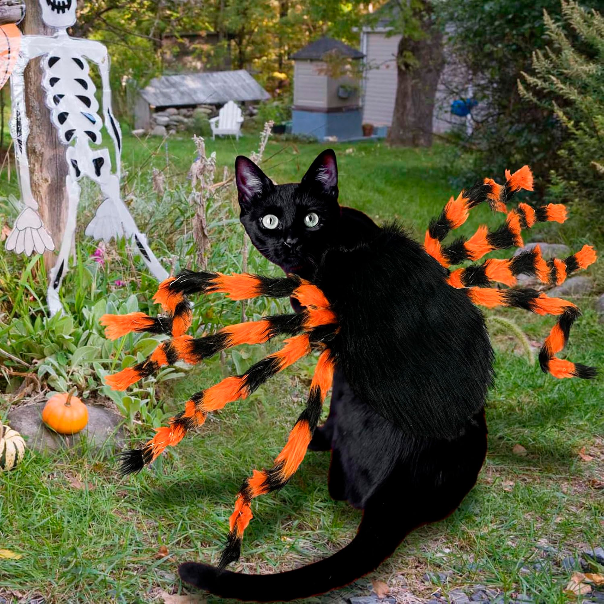 48 LED Spider Dog Halloween Costume for Dogs, Furry Giant Spider with Orange Purple Lights Dog Halloween Cosplay - Small