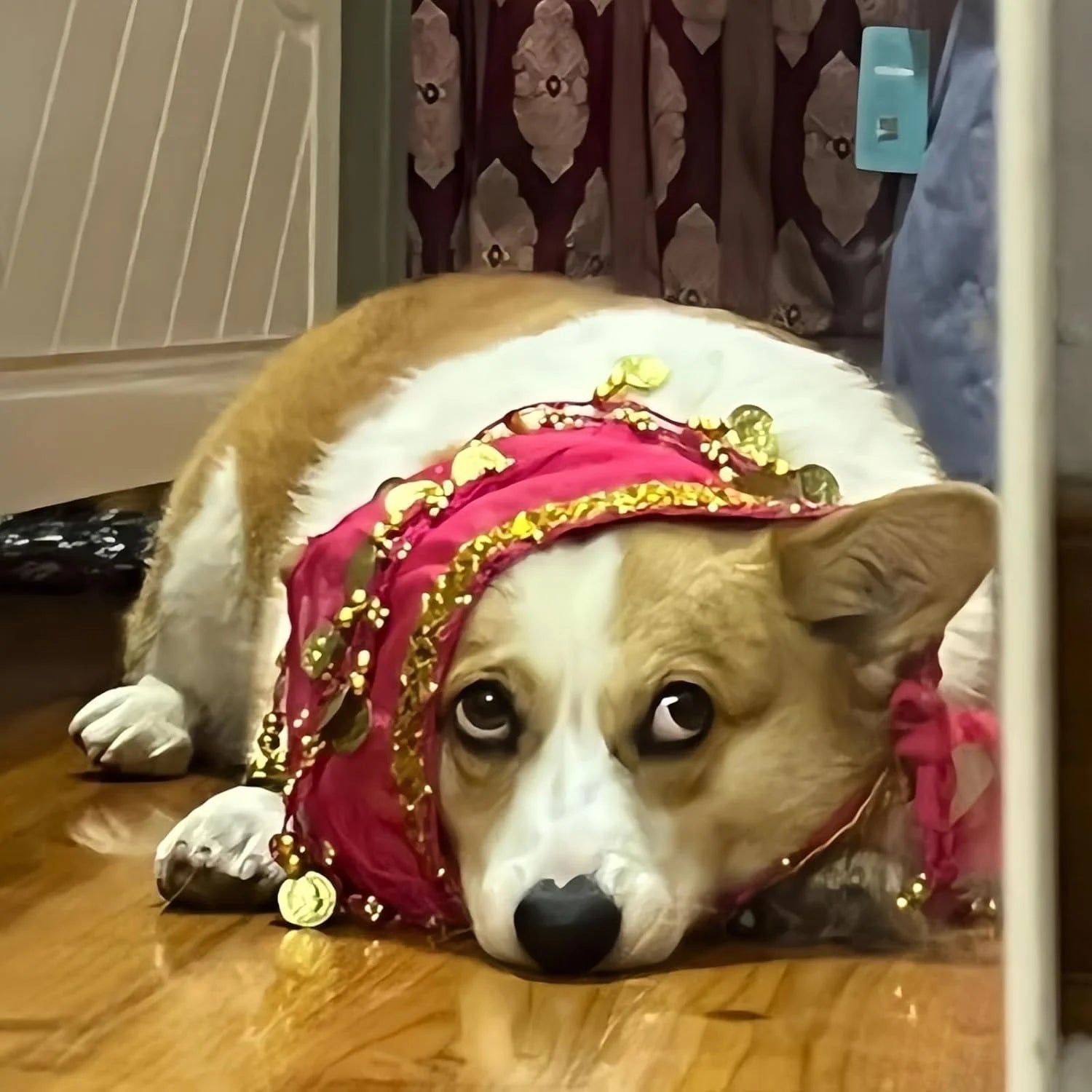 Dog Belly Dancer Skirt, Bling Belly Dance Hip Scarf for Corgis Dog Waist Wrap with Sequins Adjustable Puppy Pet Dancing Dress Costumes for Halloween Parties Celebration Performance (Pink)-Dh