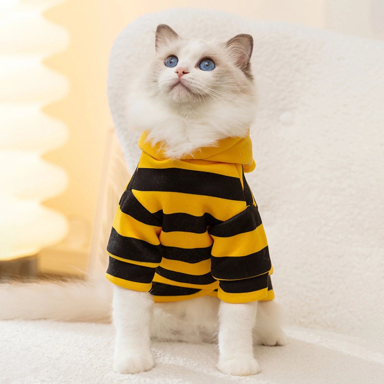 Pet Bee Costume Hood Dog Halloween Clothes Winter Warm Pet Hoodies Cat Holiday Cosplay Outfit for Small Medium Dogs Cats (Yellow,L)
