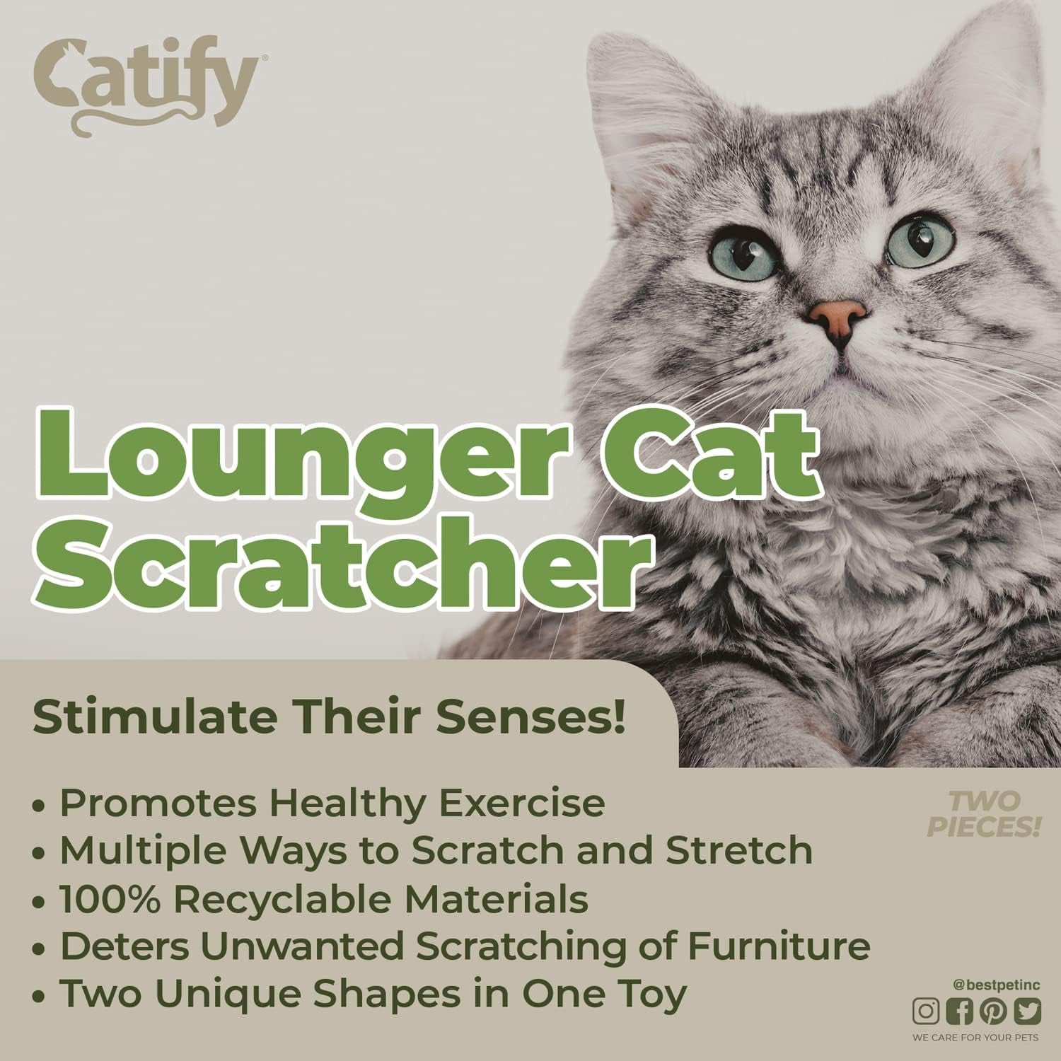 Catify Double-Sided Corrugated Cardboard Cat Scratcher Lounger - Durable Indoor Furniture Protector for Cats and Kittens