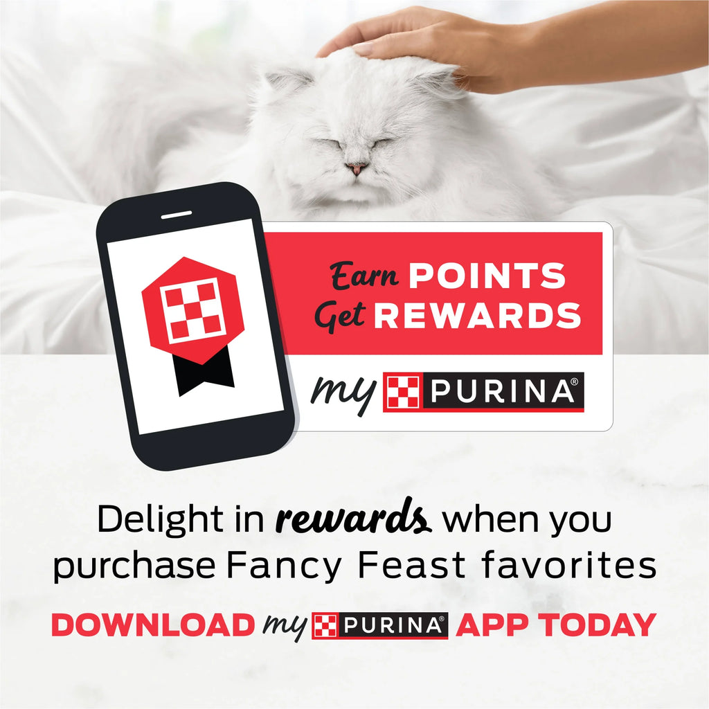 Purina  Dry Cat Food Filet Mignon Flavor with Seafood and Shrimp, 3 Lb Bag