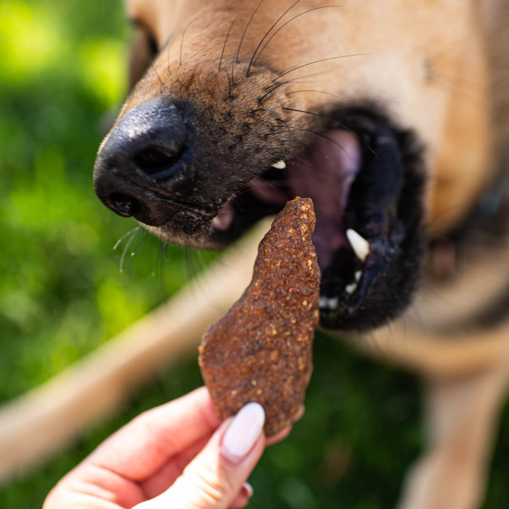 Butcher’S Naturals Pork Flavored Jerky Treats for Dogs, 16 Oz