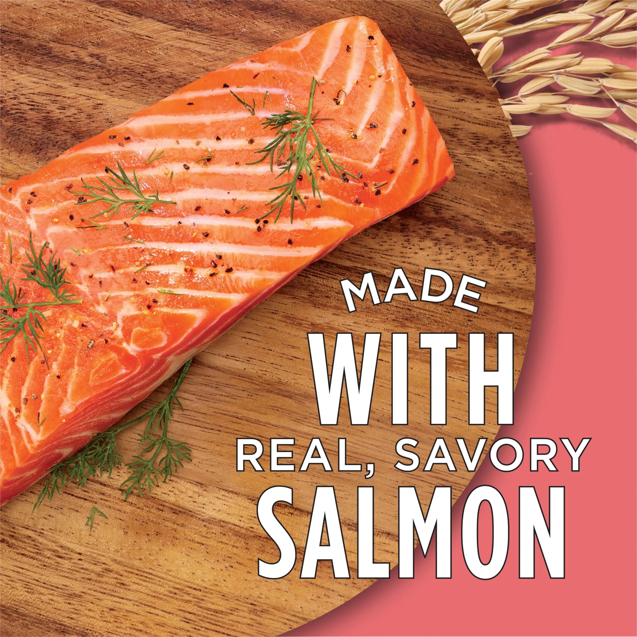 Purina  Complete High Protein Dry Cat Food with Real Salmon, 3.15 Lb Bag