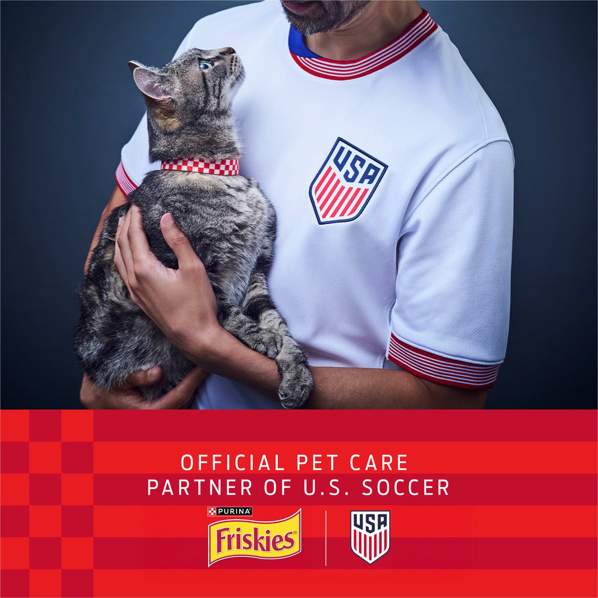 Purina Friskies Surfin and Turfin Favorites Dry Cat Food Flavors of Chicken, Whitefish, Salmon and Filet Mignon, 16 Lb Bag