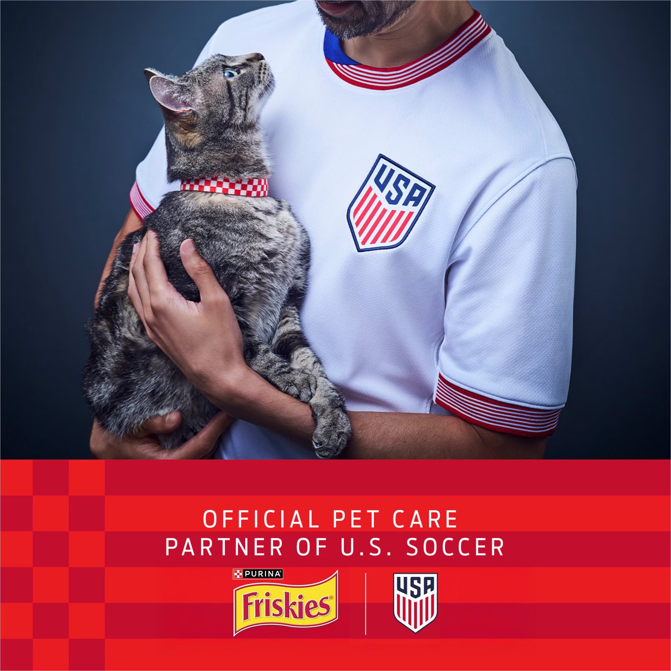 Purina  Party Pack’D with Flavors of Chicken, Liver and Turkey Crunchy Dry Cat Food, 3 Lb.