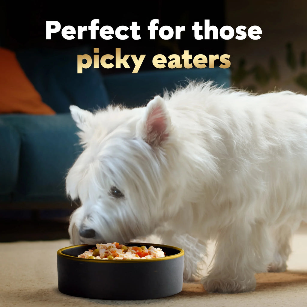 Simply Crafted Chicken and Beef Recipes Variety Pack Dog Food Toppers, 1.3 Oz Tubs (8 Ct)