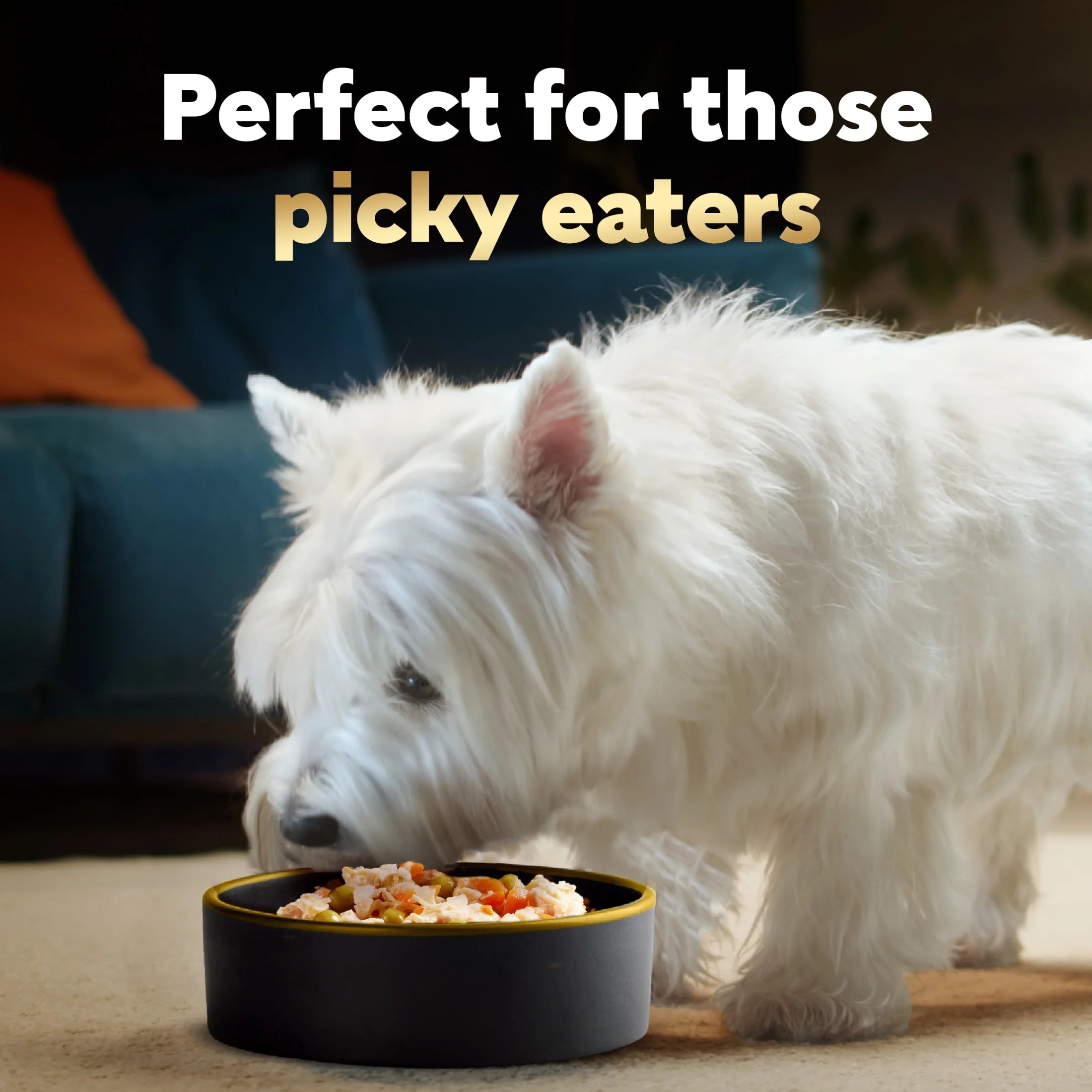 Simply Crafted Chicken and Beef Recipes Variety Pack Dog Food Toppers, 1.3 Oz Tubs (8 Ct)