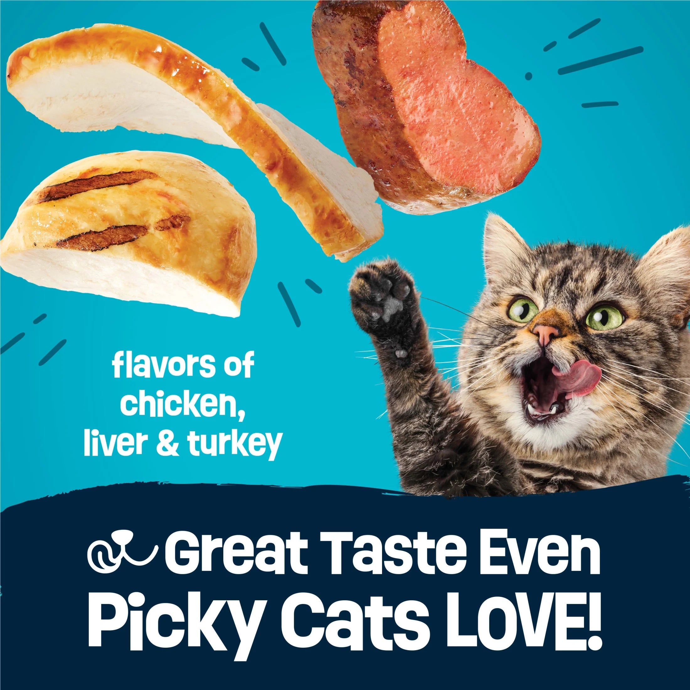 Purina  Party Pack’D with Flavors of Chicken, Liver and Turkey Crunchy Dry Cat Food, 15 Lb.