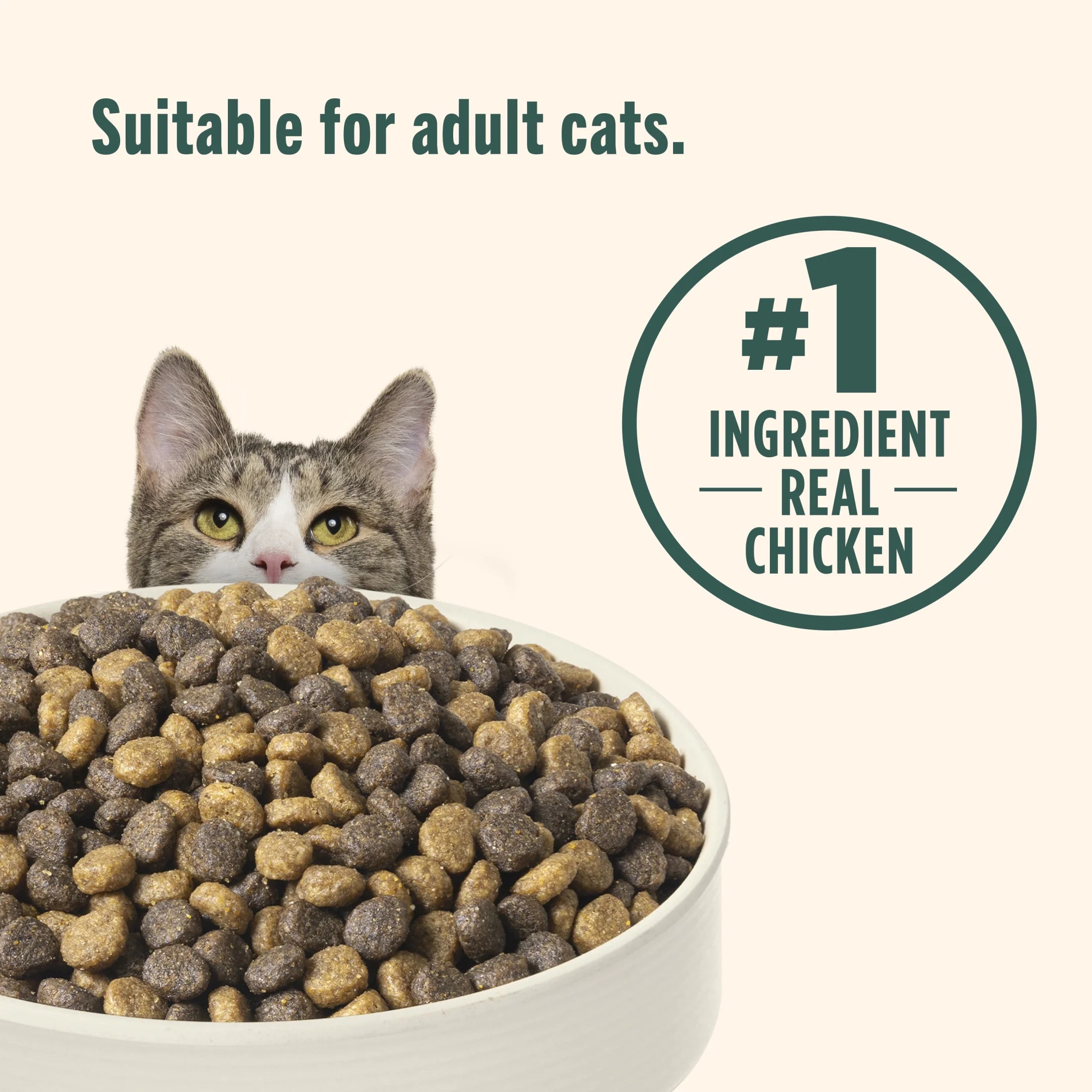 Indoor Complete Chicken, Lentils & Salmon Recipe Dry Cat Food (Rachael Ray), 3 Lb. Bag