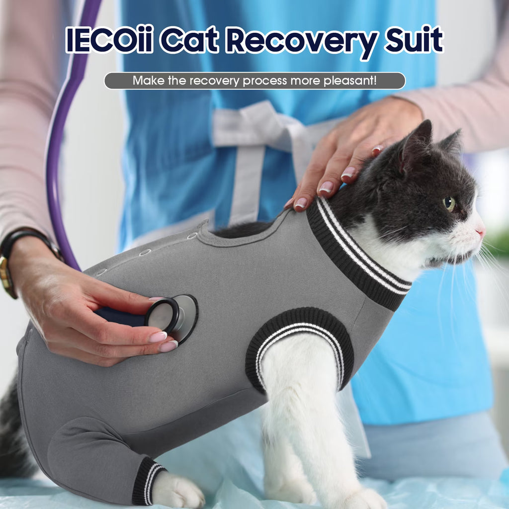 Soft Cat Recovery Suit, Elastic Cat Onesie after Surgery, Rear Leg and Abdomen Wound Protection, Cat Cone Collar Alternative, Gray, S