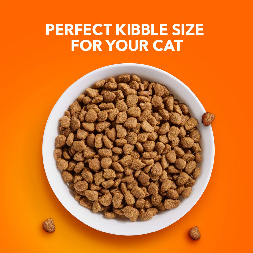 Proactive Health Chicken and Salmon Dry Cat Food, 7 Lb Bag