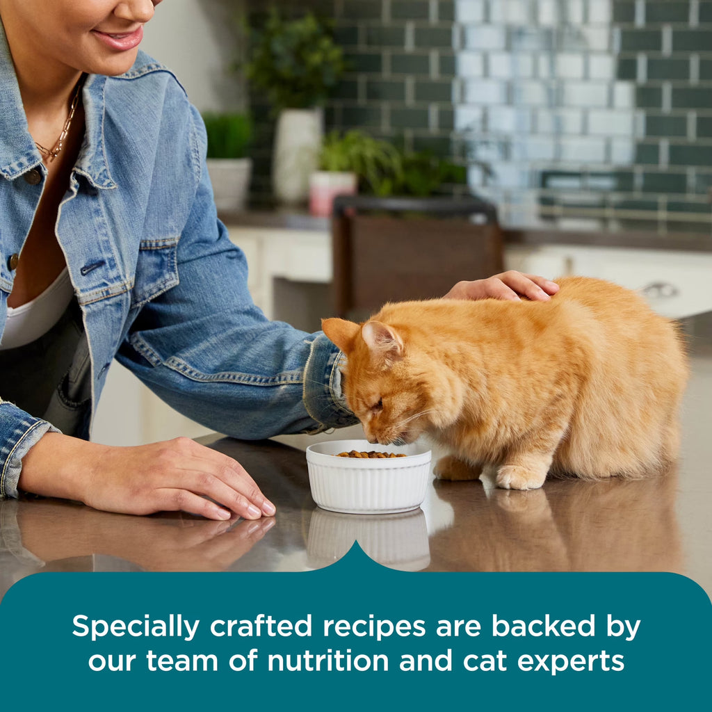 Rachael Ray  Dry Cat Food Real Salmon & Brown Rice Recipe, 5 Lb.