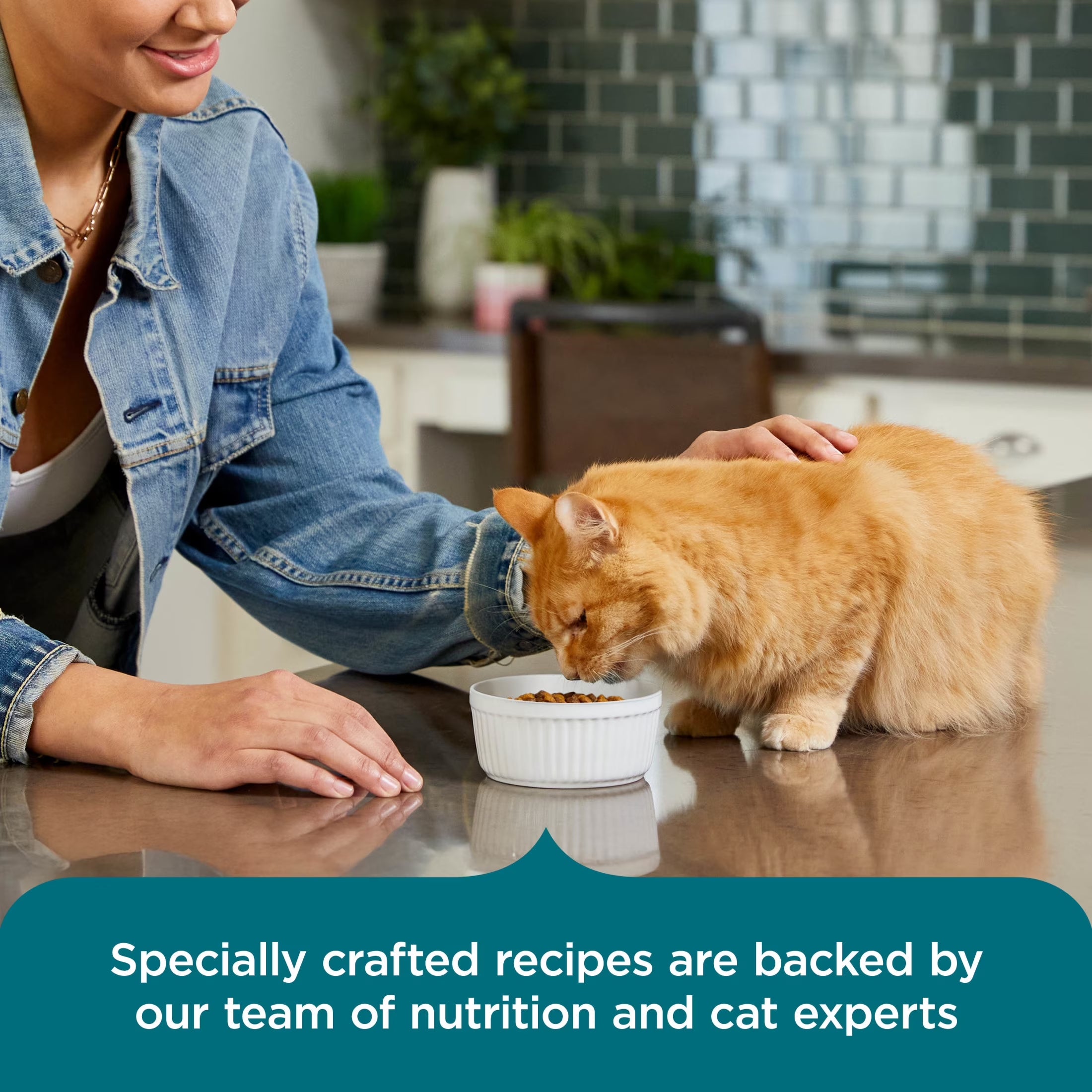 Rachael Ray  Dry Cat Food Real Salmon & Brown Rice Recipe, 5 Lb.