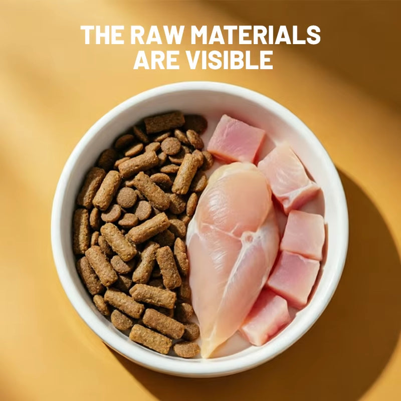 Premium Bulk Supply of Natural and Healthy Dry Food for Cats and Dogs