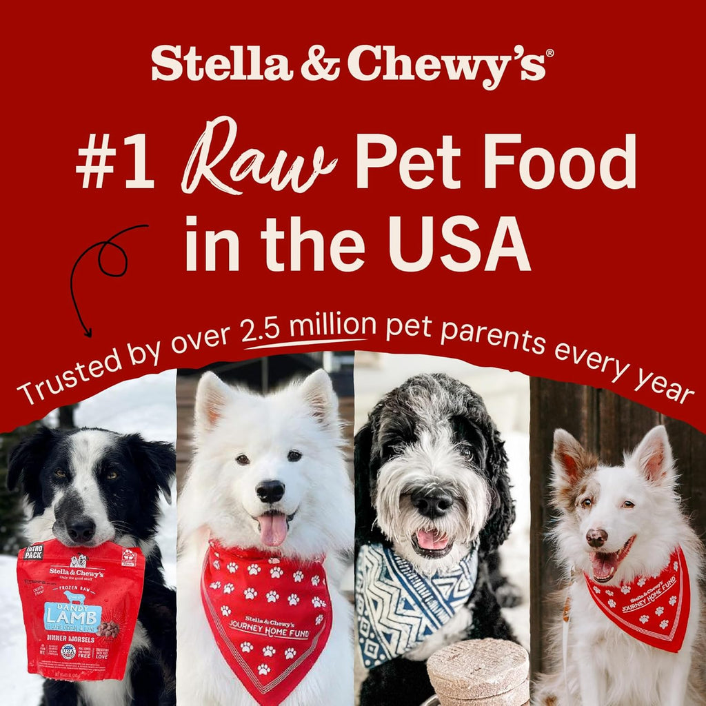 Freeze-Dried Raw Dinner Patties - Beef Recipe - High Protein Grain-Free Puppy & Dog Food - Perfect for Picky Eaters - 14 Oz