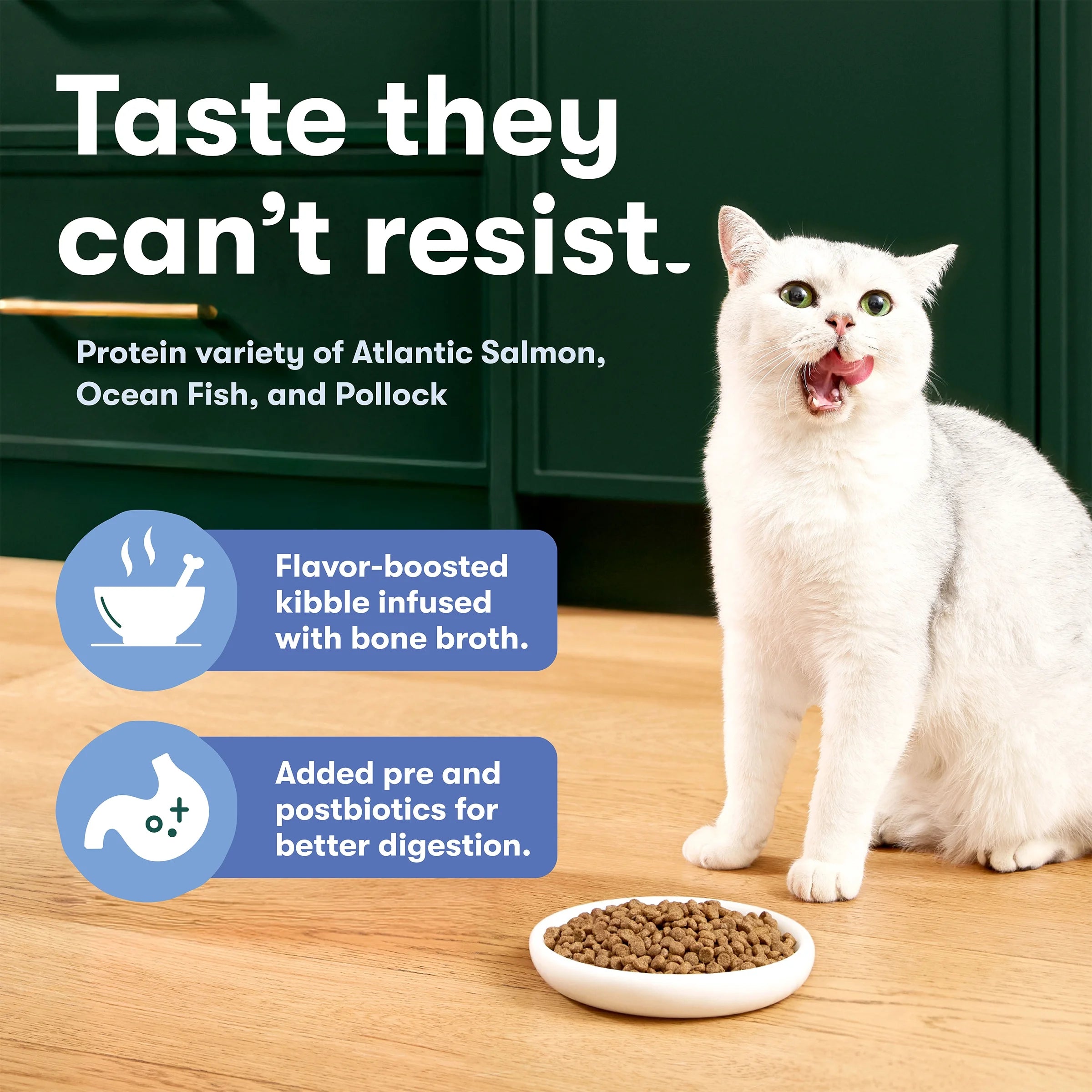 Atlantic Salmon, Ocean Fish, & Pollock Dry Cat Food, 3 Lb Bag