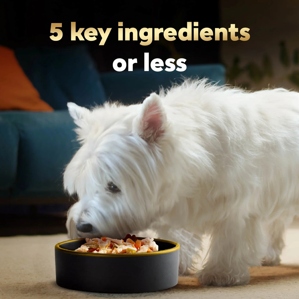 Simply Crafted Chicken and Vegetables Variety Pack Wet Dog Food Toppers, 1.3 Oz Tubs (8 Ct)