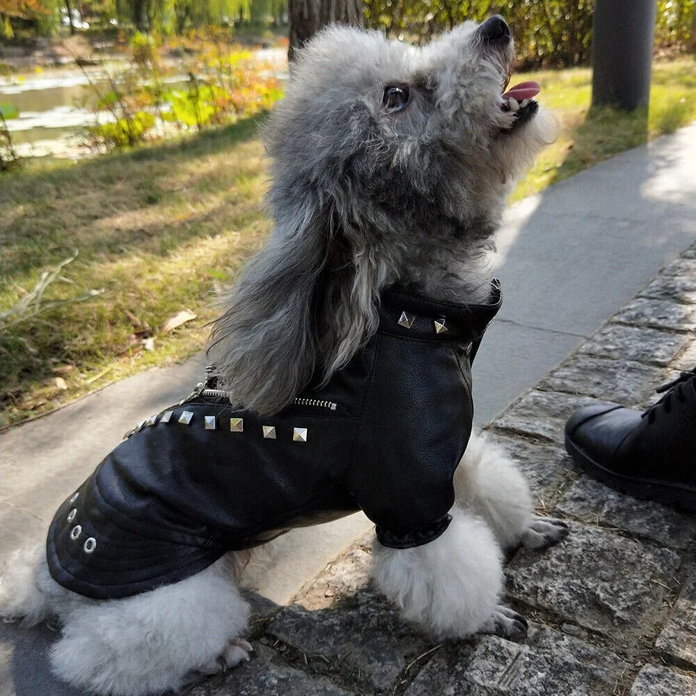 Fashion Small Cat Dog Jacket Black PU Leather Motorcycle Coat Outfit Clothes with Studs