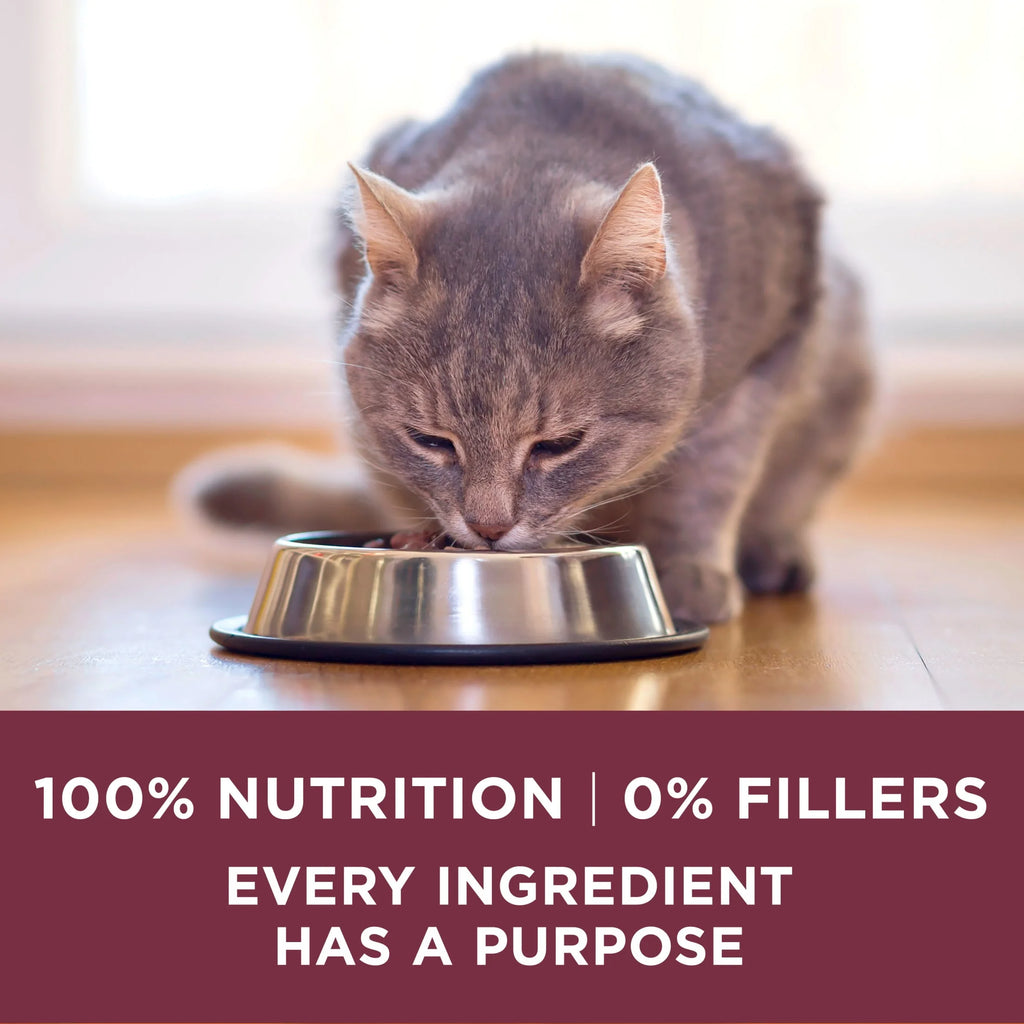 Plus, Urinary Tract Health Formula Dry Cat Food, Chicken, 7 Lb Bag