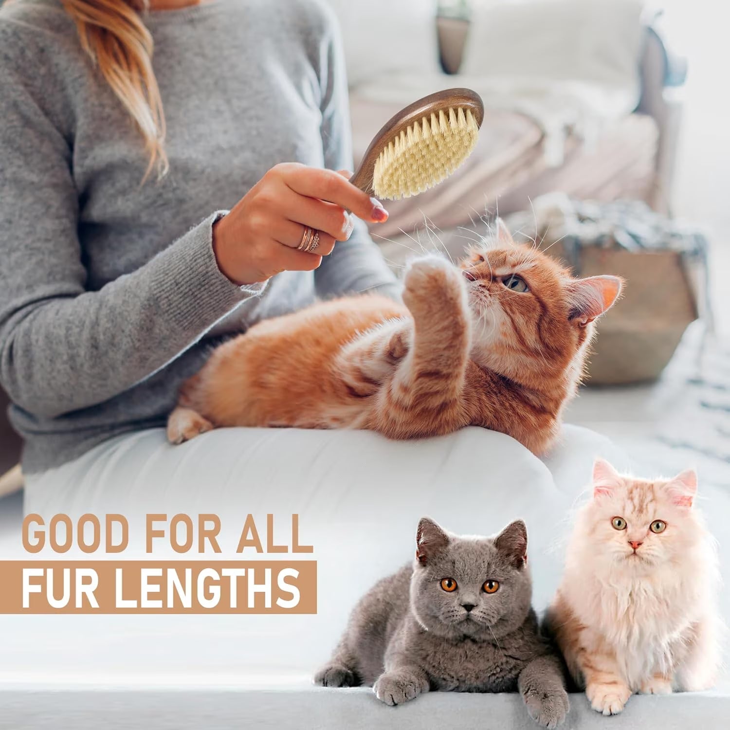Natural White Boar Bristle Cat Brush with Wooden Handle, Gentle Grooming Tool for Sensitive Skin, Shiny Coat & Smooth Fur