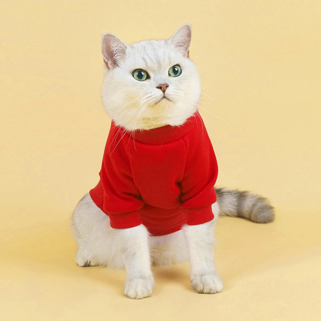 Dog Sweaters for Small Dogs, Cute Dog Clothes Classic Warm Pet Sweaters for Dogs Girls Boys, Cat Sweater Dog Sweatshirt Winter Coat Apparel for Small Dog Puppy Kitten Cat((Pink, L)