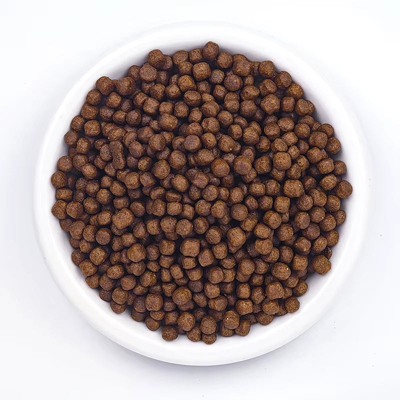 Grain-Free Dry Cat Food 1KG - High Protein, Complete & Balanced Nutrition with Immune Support