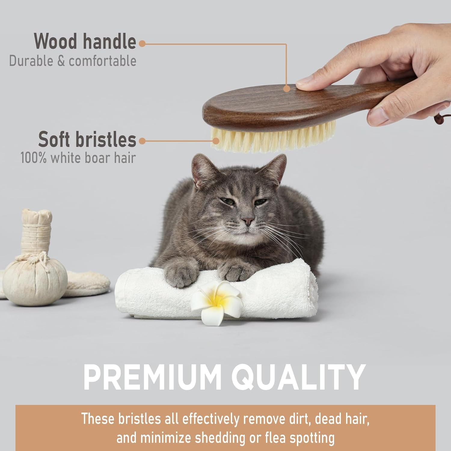 Natural White Boar Bristle Cat Brush with Wooden Handle, Gentle Grooming Tool for Sensitive Skin, Shiny Coat & Smooth Fur