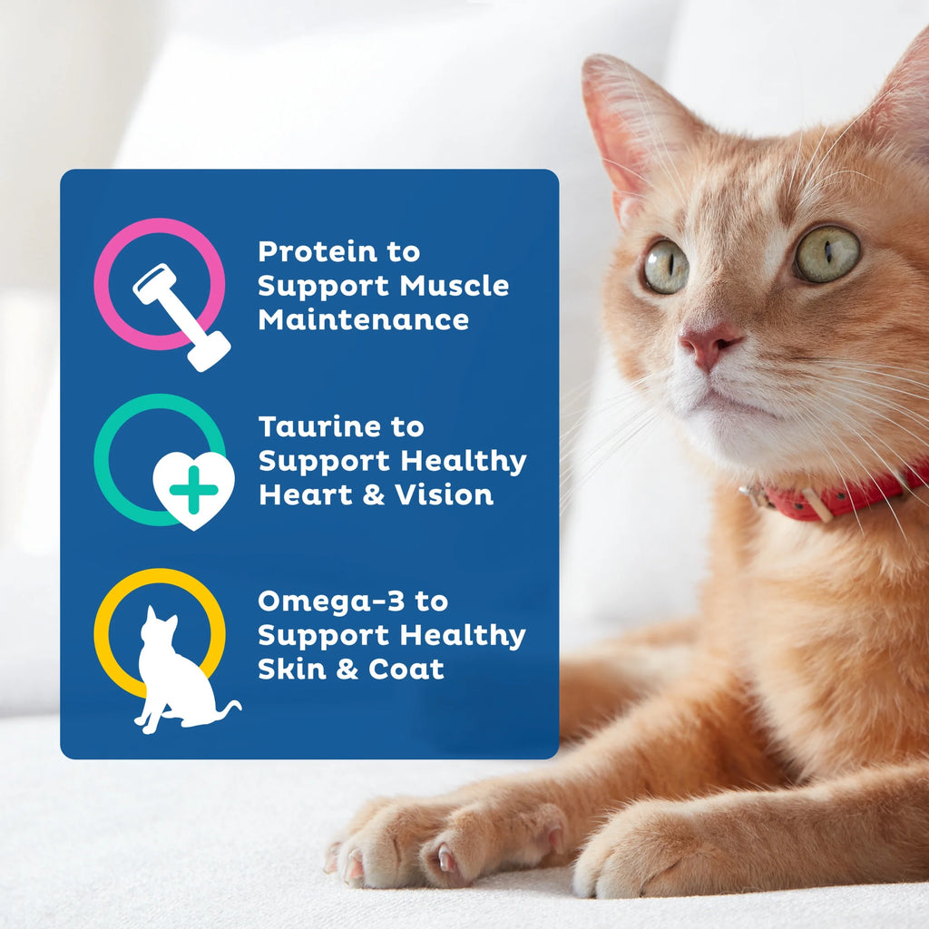 Daily Essentials Dry Cat Food for Adult Cats with Chicken, Beef & Salmon, 15.5 Lb. Bag
