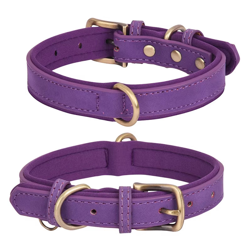 Factory Direct Sales Retro Leather Dog Leash with Breathable Dog Collar Contrast Color Solid Pattern Space Cotton Pet Lettering