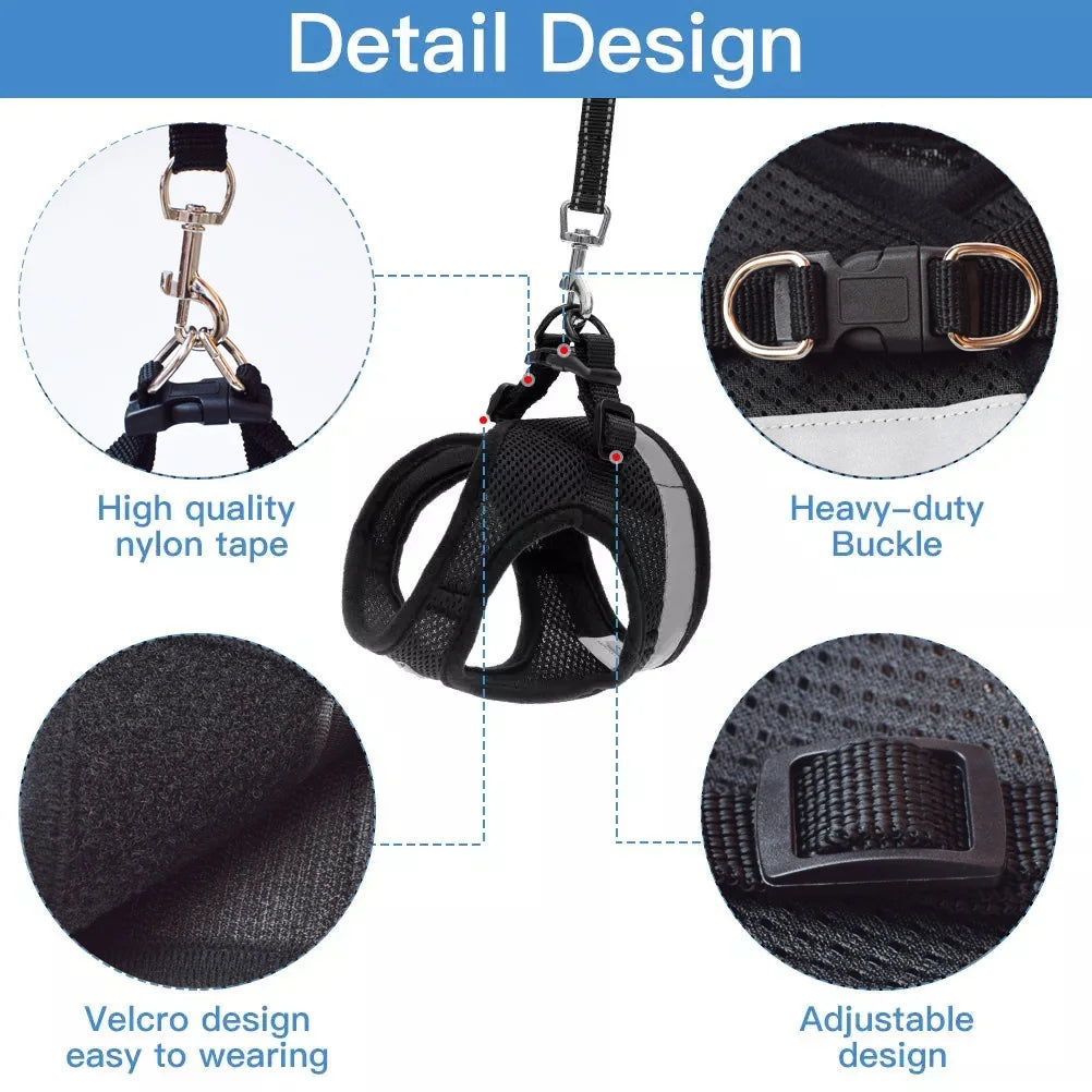 city cat harness cat bath harness cat harness for bathing	kitten harness and leash cat leash harness dog harness with leash dog leash and harness harness leash for dogs cat harness and leash escape proof harness and leash