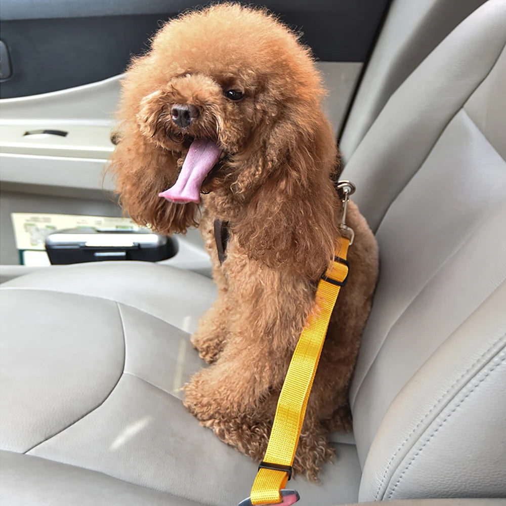 Dog Seat Belt Dog Car Seat Belt, Seat Belt for Dogs , Dog Seat Belt for Cars