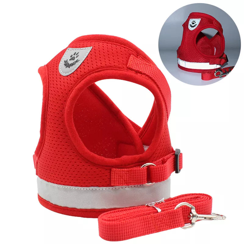 city cat harness cat bath harness cat harness for bathing	kitten harness and leash cat leash harness dog harness with leash dog leash and harness harness leash for dogs cat harness and leash escape proof harness and leash