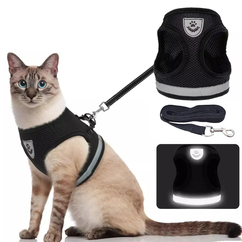 city cat harness cat bath harness cat harness for bathing	kitten harness and leash cat leash harness dog harness with leash dog leash and harness harness leash for dogs cat harness and leash escape proof harness and leash