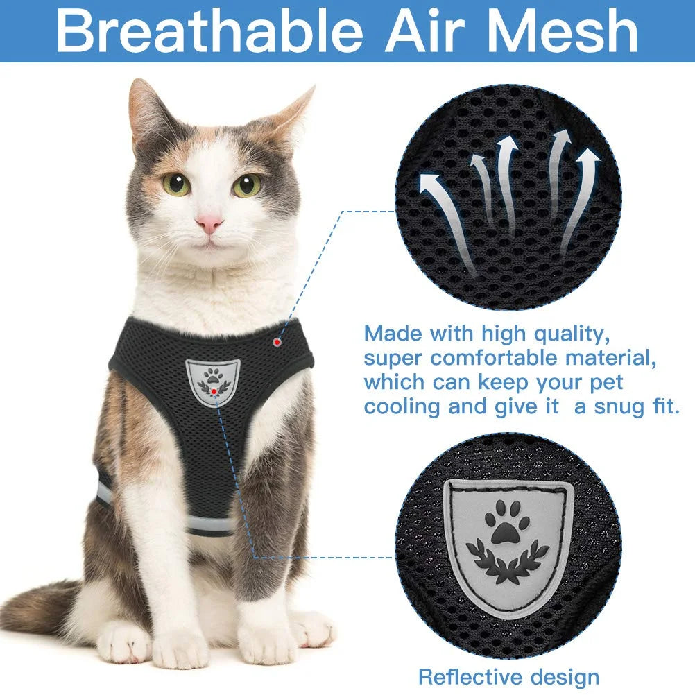 city cat harness cat bath harness cat harness for bathing	kitten harness and leash cat leash harness dog harness with leash dog leash and harness harness leash for dogs cat harness and leash escape proof harness and leash