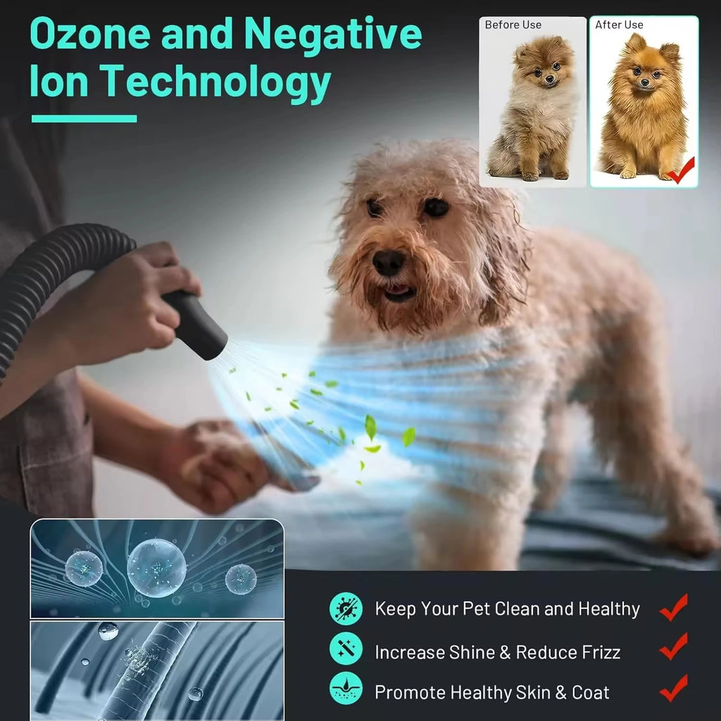 Revolutionary Handheld Pet Hair Dryer: Eco-Friendly Grooming Tool for Dogs and Small Animals