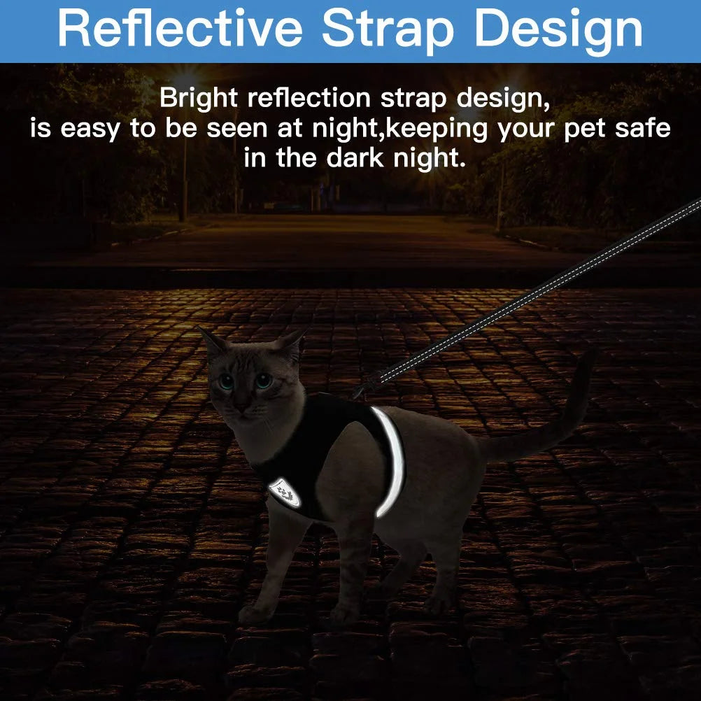 city cat harness cat bath harness cat harness for bathing	kitten harness and leash cat leash harness dog harness with leash dog leash and harness harness leash for dogs cat harness and leash escape proof harness and leash