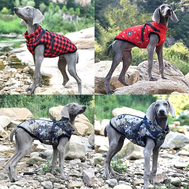 Pet Jacket With Harness