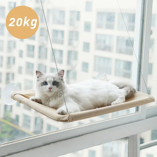 cat hammock cat window hammock cat hammock window	cat window hammock cat hammock window window hammock for cats cat hammock for window window cat hammock	cat wall hammock cat hammock for window window cat hammock Cat Bed Bearing Comfortable Cat Sunny Window Seat Mount Kitten Climbing Frame Pet Accessories