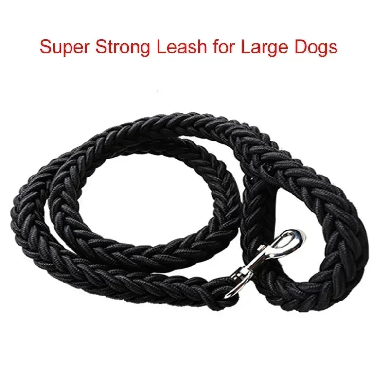 dog leash and collar