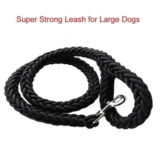 dog leash and collar