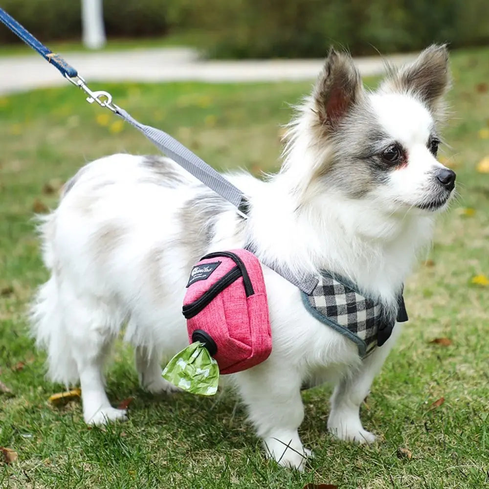 Portable Dog Treat Bag