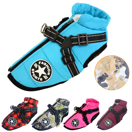 Pet Jacket With Harness