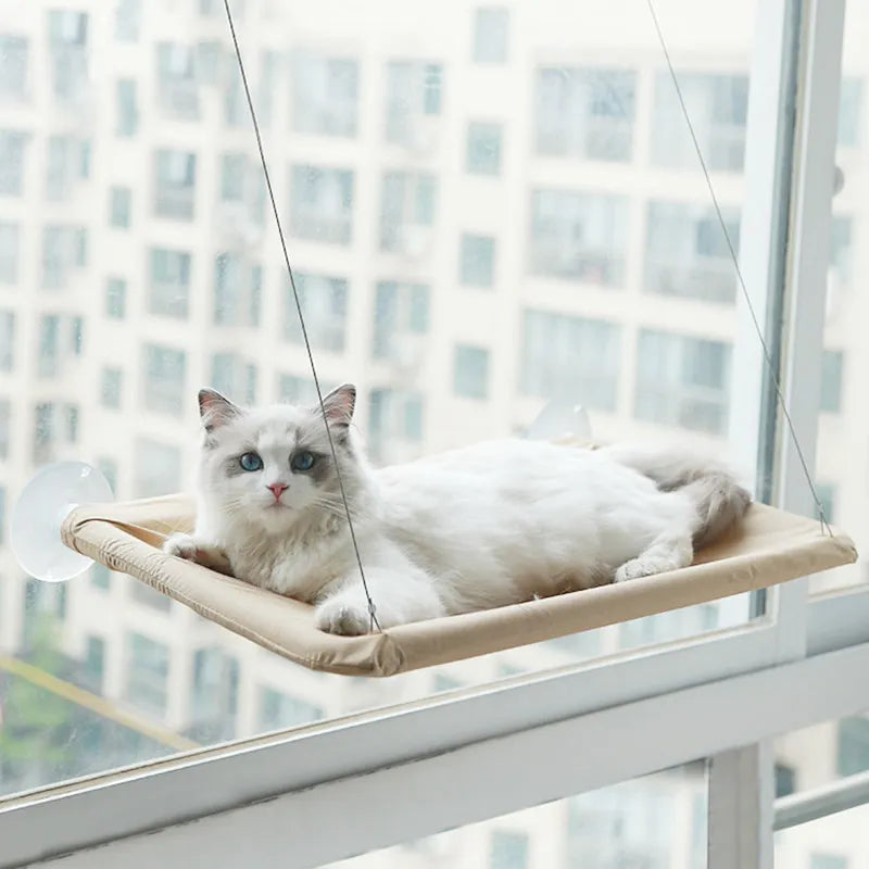 cat hammock cat window hammock cat hammock window	cat window hammock cat hammock window window hammock for cats cat hammock for window window cat hammock	cat wall hammock cat hammock for window window cat hammock Cat Bed Bearing Comfortable Cat Sunny Window Seat Mount Kitten Climbing Frame Pet Accessories