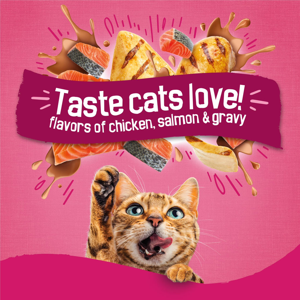 Purina  Gravy Swirlers Dry Cat Food Flavors of Chicken, Salmon and Gravy, 3.15 Lb Bag